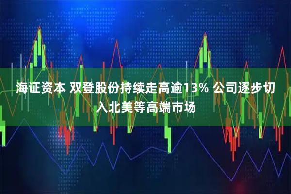 海证资本 双登股份持续走高逾13% 公司逐步切入北美等高端市场