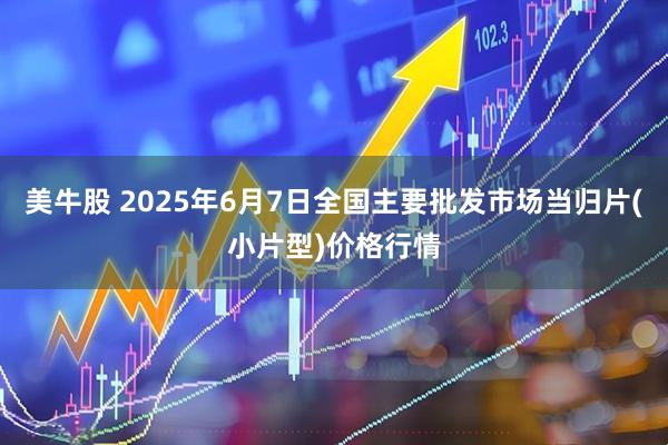 美牛股 2025年6月7日全国主要批发市场当归片(小片型)价格行情