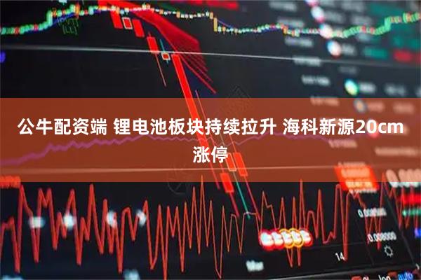 公牛配资端 锂电池板块持续拉升 海科新源20cm涨停